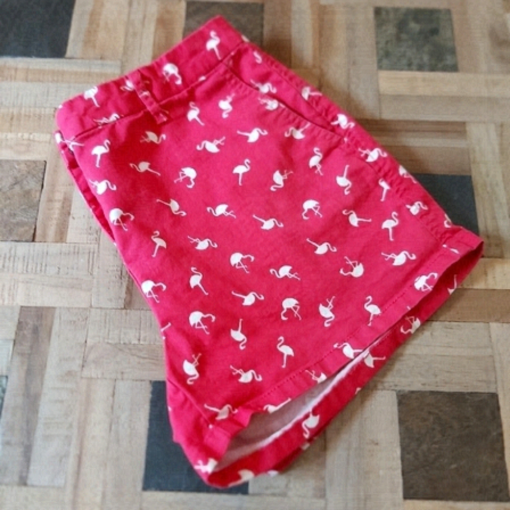 Elle Pink Flamingo 🦩 Shorts